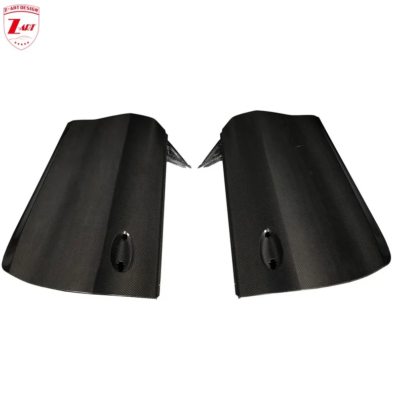 Z-ART M4 Dry Carbon… - image