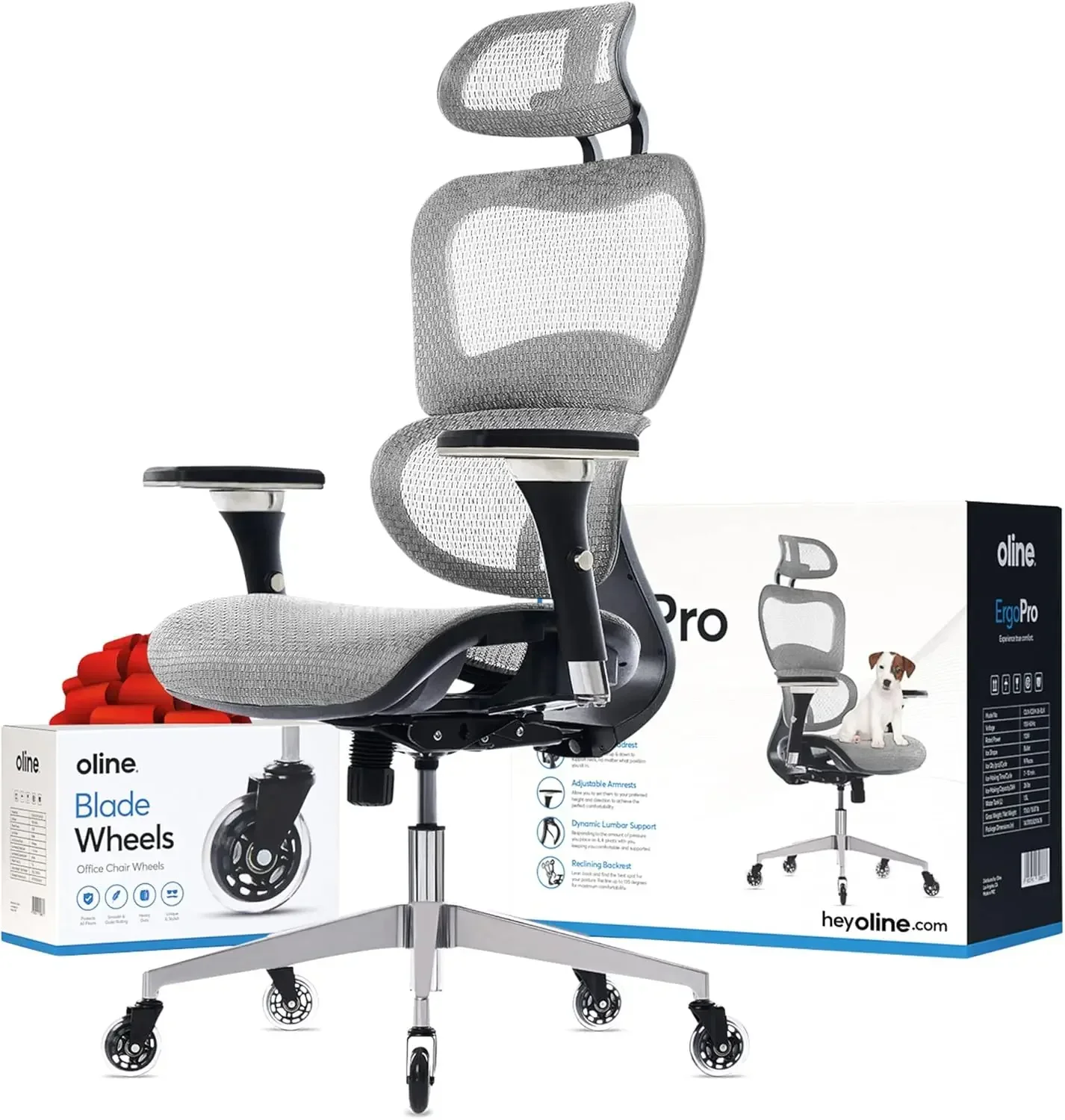 ErgoPro Ergonomic Office Chair - Rolling Desk Chair with 4D Adjustable Armrest, 3D Lumbar Support and Blade Wheels - Mesh