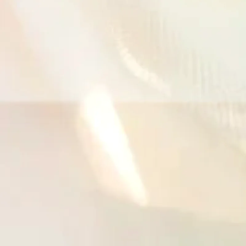 

4 Compartments Jewelry Storage Bag Portable Mini Jewelry Bag Earrings Necklace Ring Organizer Bag Travel Jewelry Storage Case