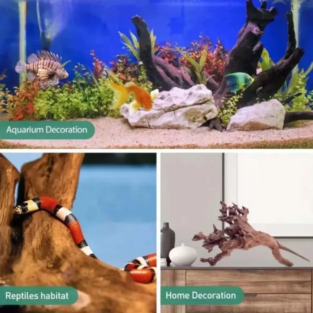 Thumbnail 2 - #58 Cheap Decorative Aquarium Plants Worth Buying