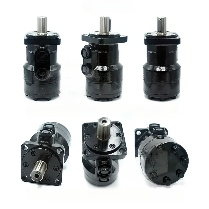 Hydraulic motor BMR series low-speed and high torque positive and negative rotation drive assembly