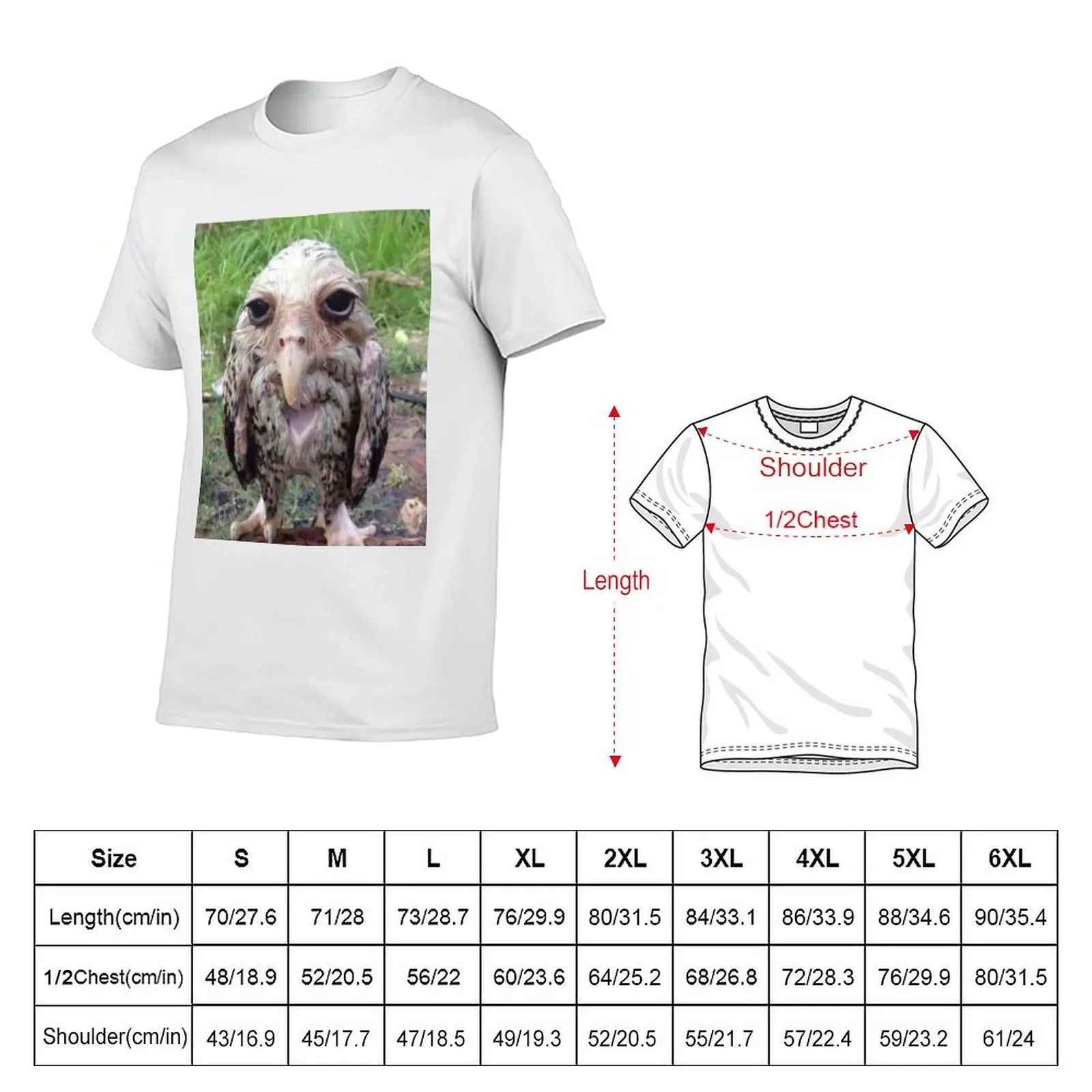 Wet Owl Meme Essential T-Shirt anime t shirts for man t shirts designer T-Shirt