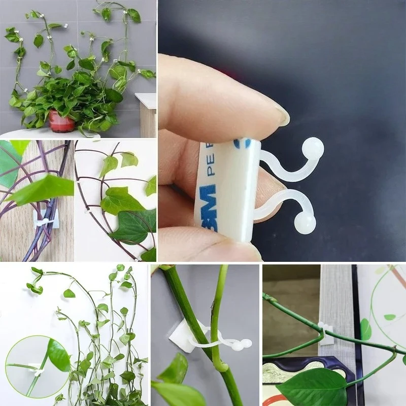 30 stückePlant klettern wand Verschluss Gebunden befestigung Reben Schnalle Haken Garten pflanze wand klettern Reben Clips Feste Schnalle Haken