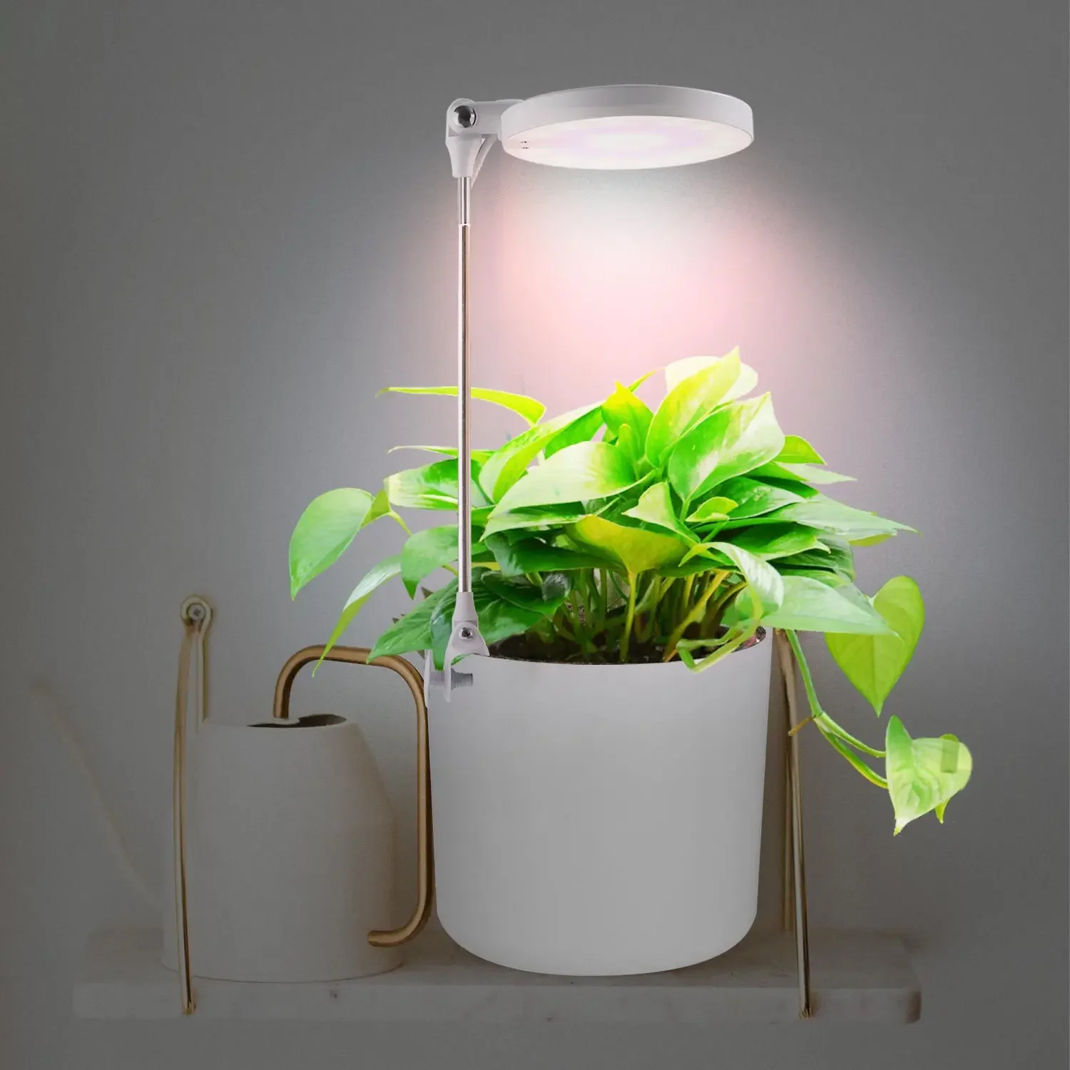 

Smart LED pot plant grow light intelligent controller dimmable height adjustable indoor grow lamp plant growing lamp garden kit