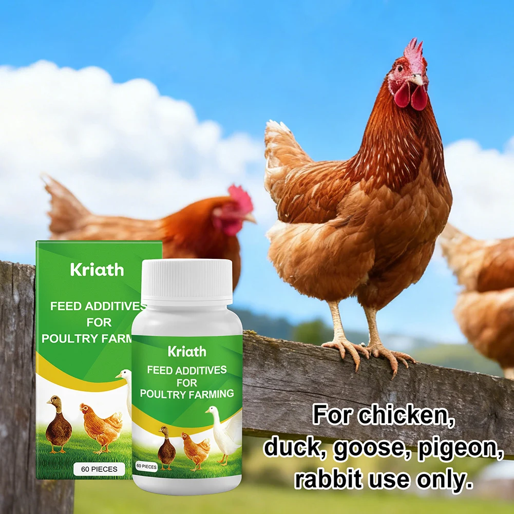 60pcs Feed Additives For Poultry Farming Improve Gut Health Boost Immunity Poultry Nutritional Tablets Egg Production Supplement