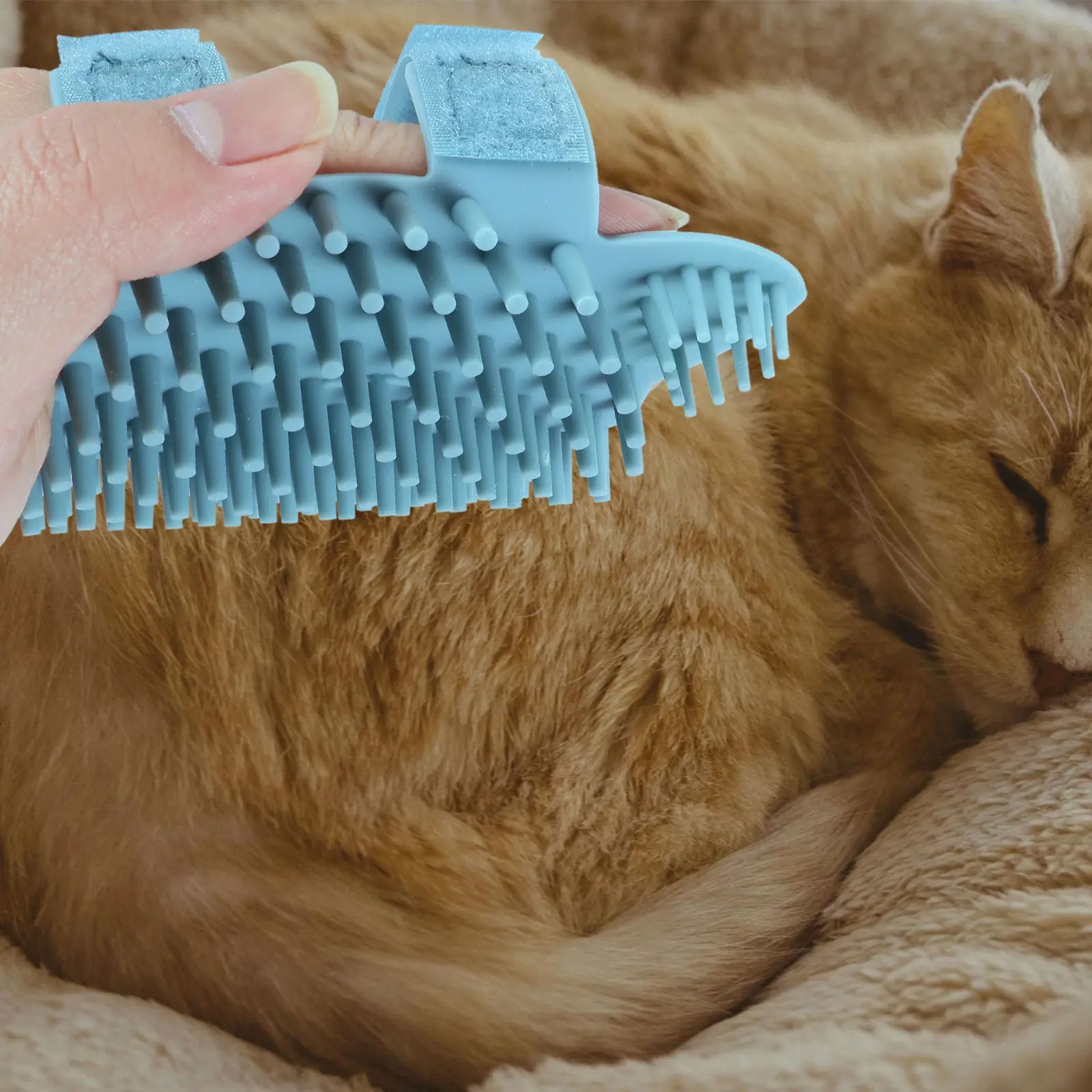 Silicone Cat Wall Corner Groomer Massager Brush Self Cleaning Tool for Cats Removes Shed Hair Easy Mount on Any Surface