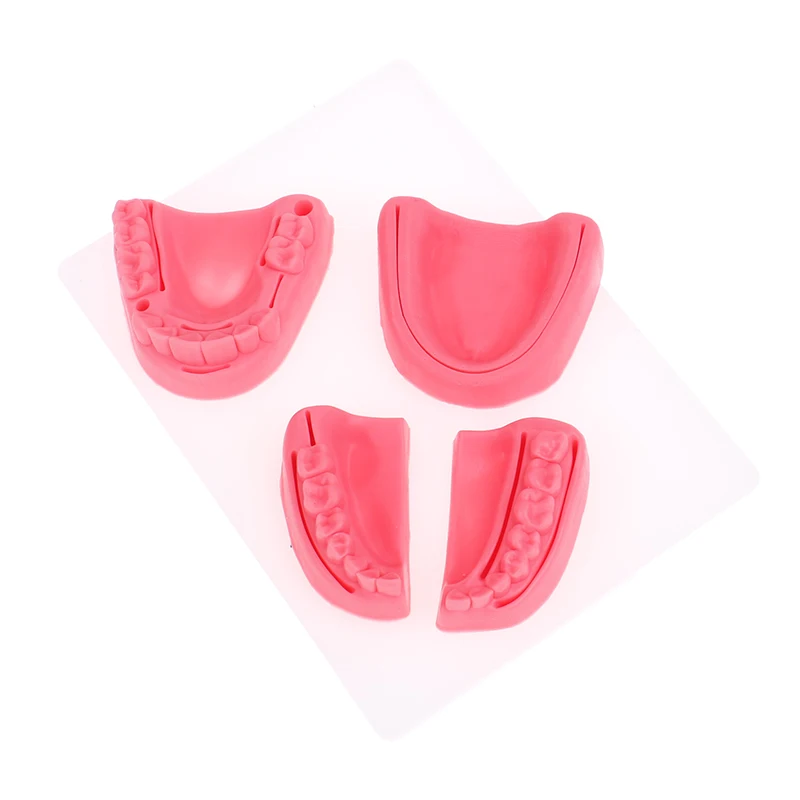 4-teiliges Dental-Simulationsmodell für Mundnaht, Zahnfleisch-Naht-Trainingsausrüstung – Detail 5