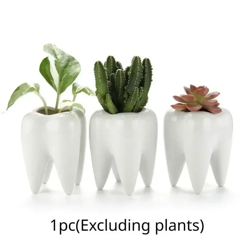 1pc Garden Gardening Tooth Shaped Succulent Pot Pure White Ceramic Pen Holder Home Decoration
