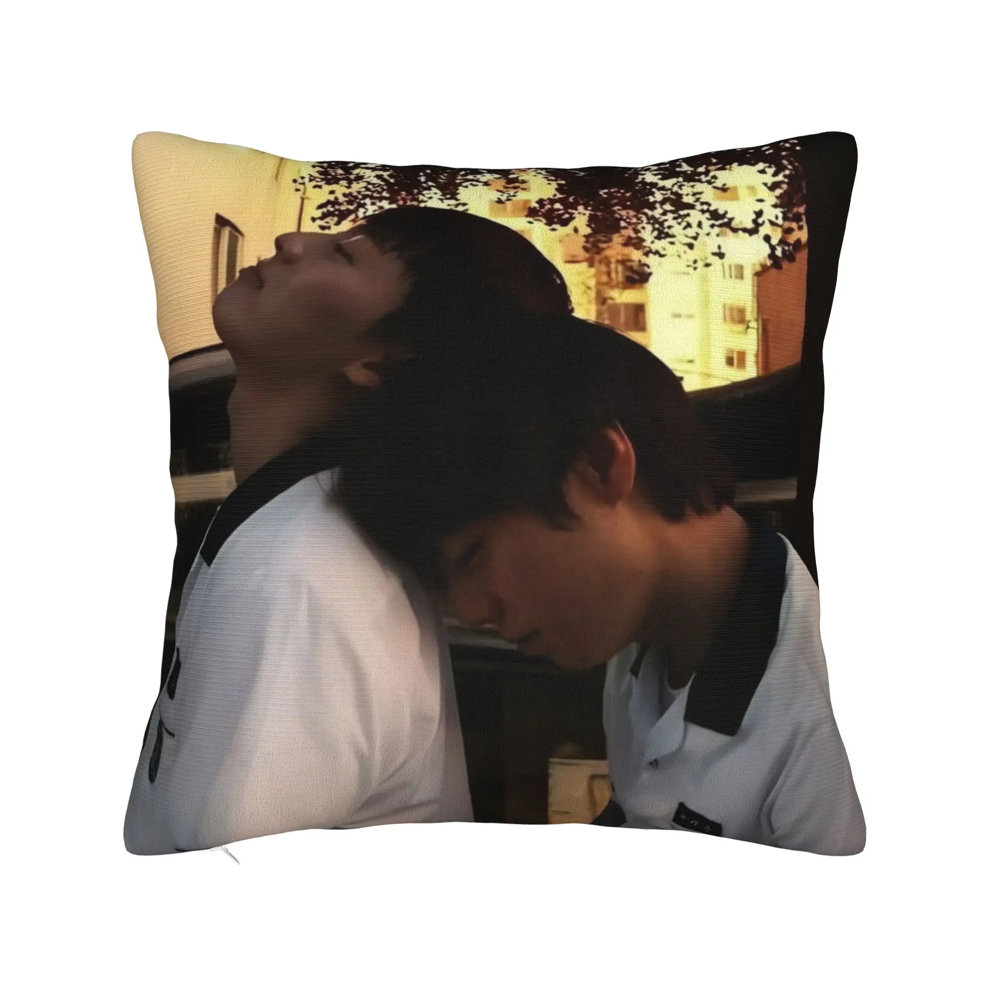 Hot Kdrama Weak Hero Class Pillow Case  Funny Pillow Cover Soft Pillowcases For Couch Sofa Bedroom