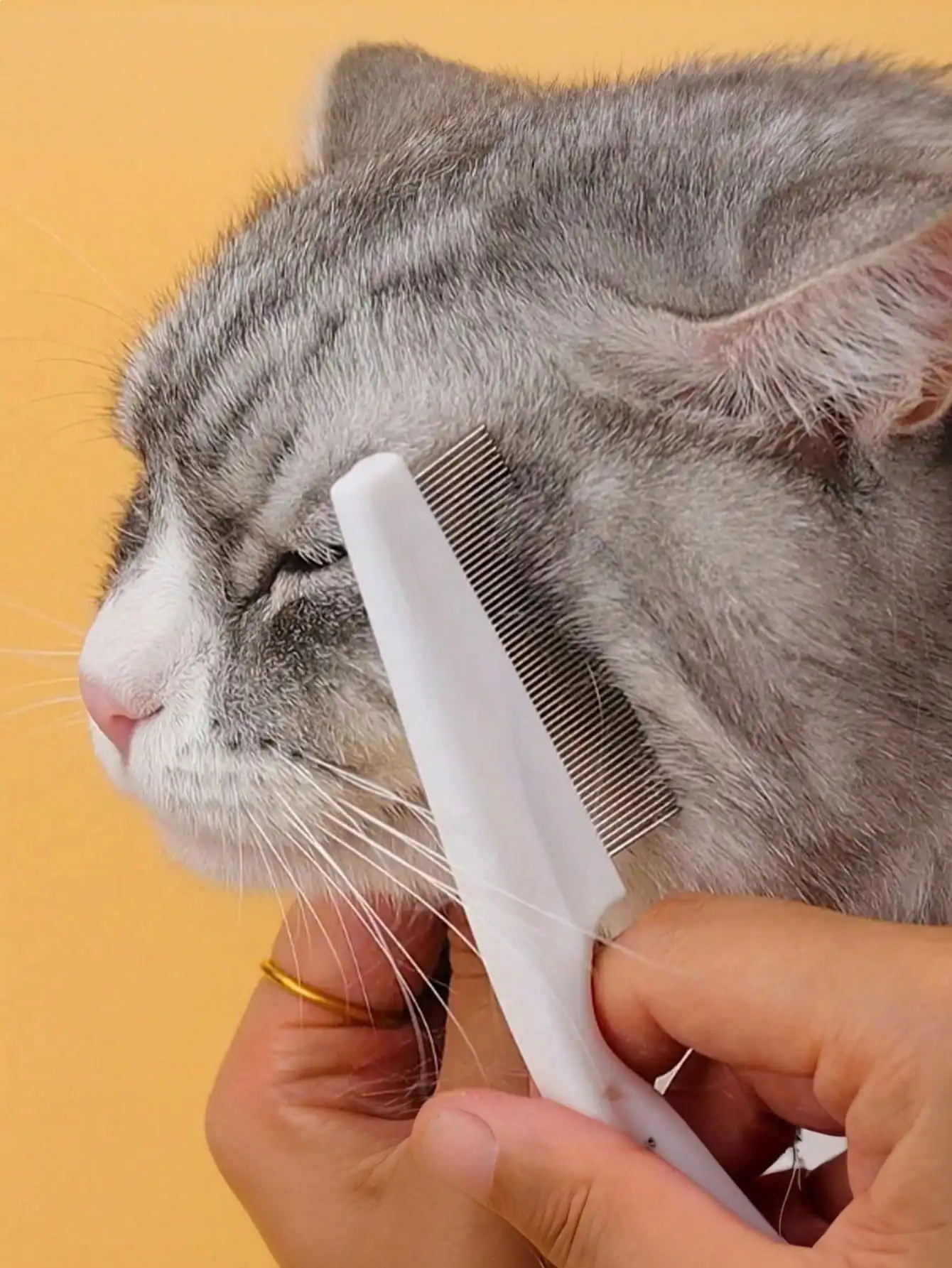 2-in-1 Pet Hair & Tear Stain Remover Comb, Stainless Steel F