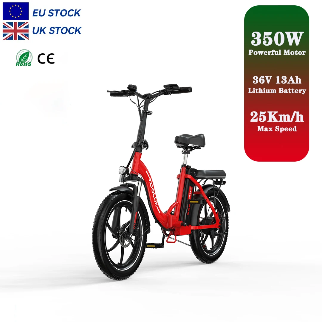 Customized Aluminum Alloy Folding Electric Bicycle 20 Inch 250W/350W Brushless Motor Lithium Battery 36V 13AH Sidecar For Adults