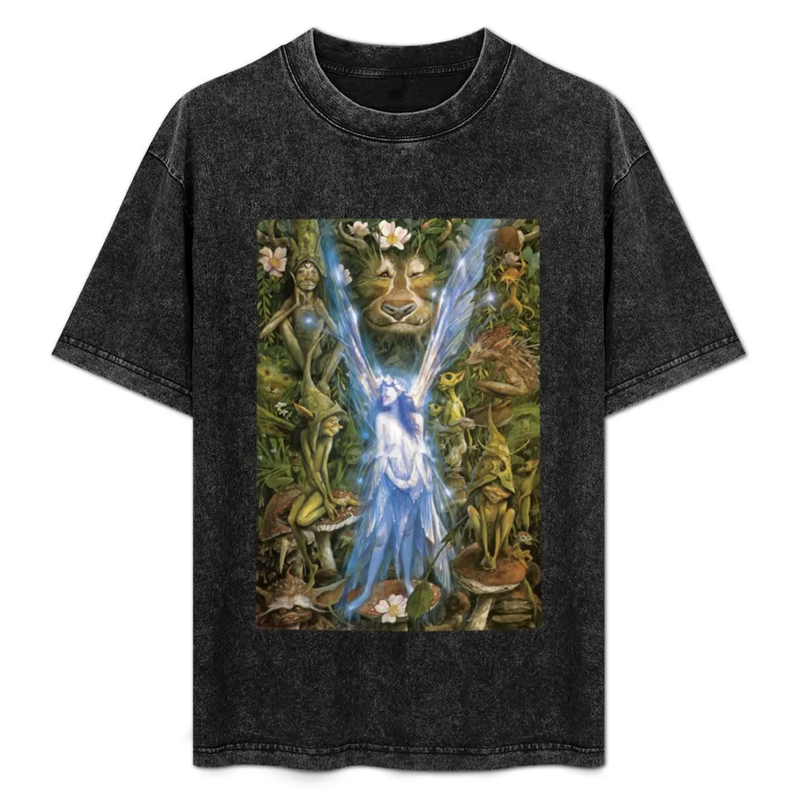 

Brian Froud - The Faery Who Was Kissed by the Pixies T-Shirt sweat kawaii clothes cheap stuff funny t shirts for men