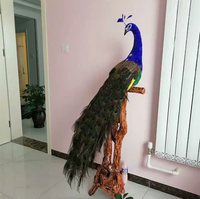 big real life peacock model foam&real feather beautiful peacock gift about 120cm xf3008