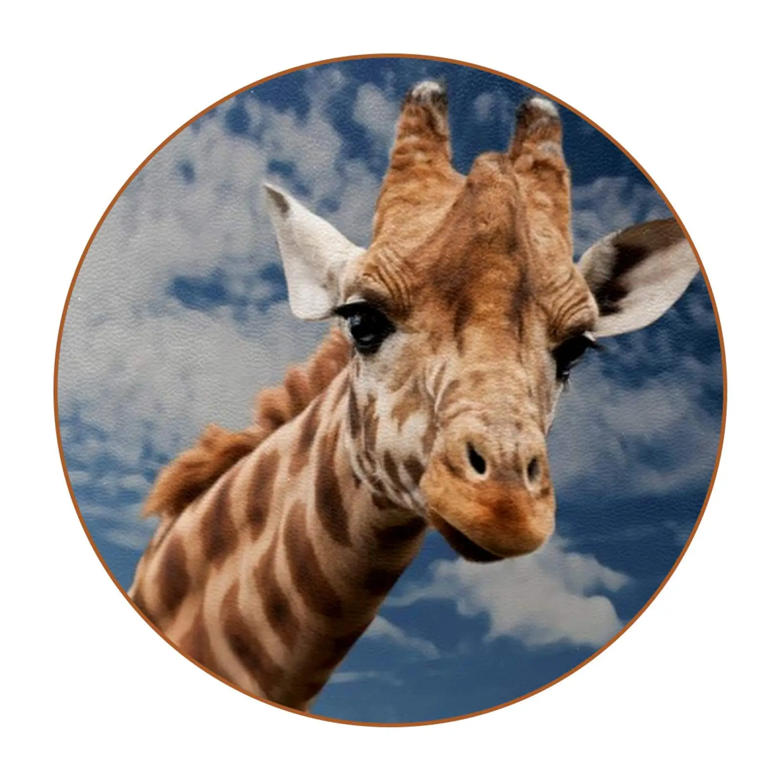 Orange Abstract Giraffe Pattern Coasters for Drinks, Ceramic Coasters Protect Your Furniture, Fits Any Size of Drinking Glasses