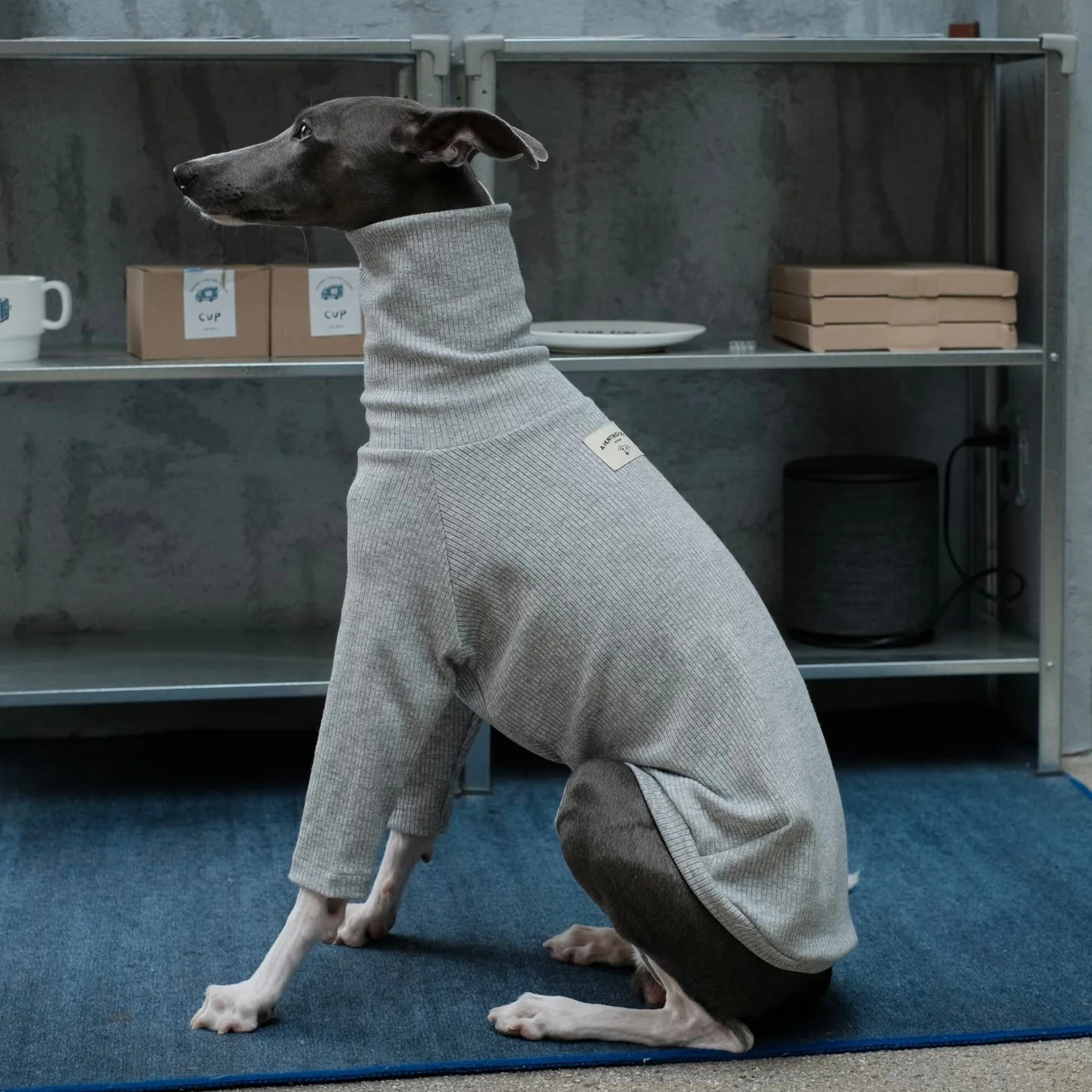 

Весенняя одежда для Италии, осенняя мягкая хлопковая серая футболка с высоким воротом для Уиппета, зимние пижамы с длинными рукавами для собак