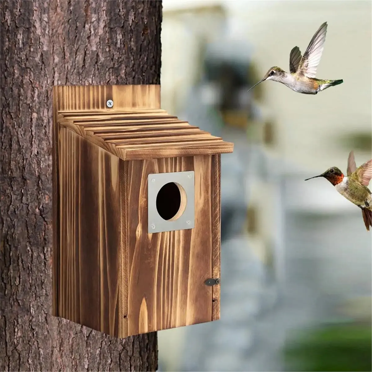 A95G Bird Houses for Outside with Metal Guard for Swallow , Carbonized Wooden Nesting Boxes