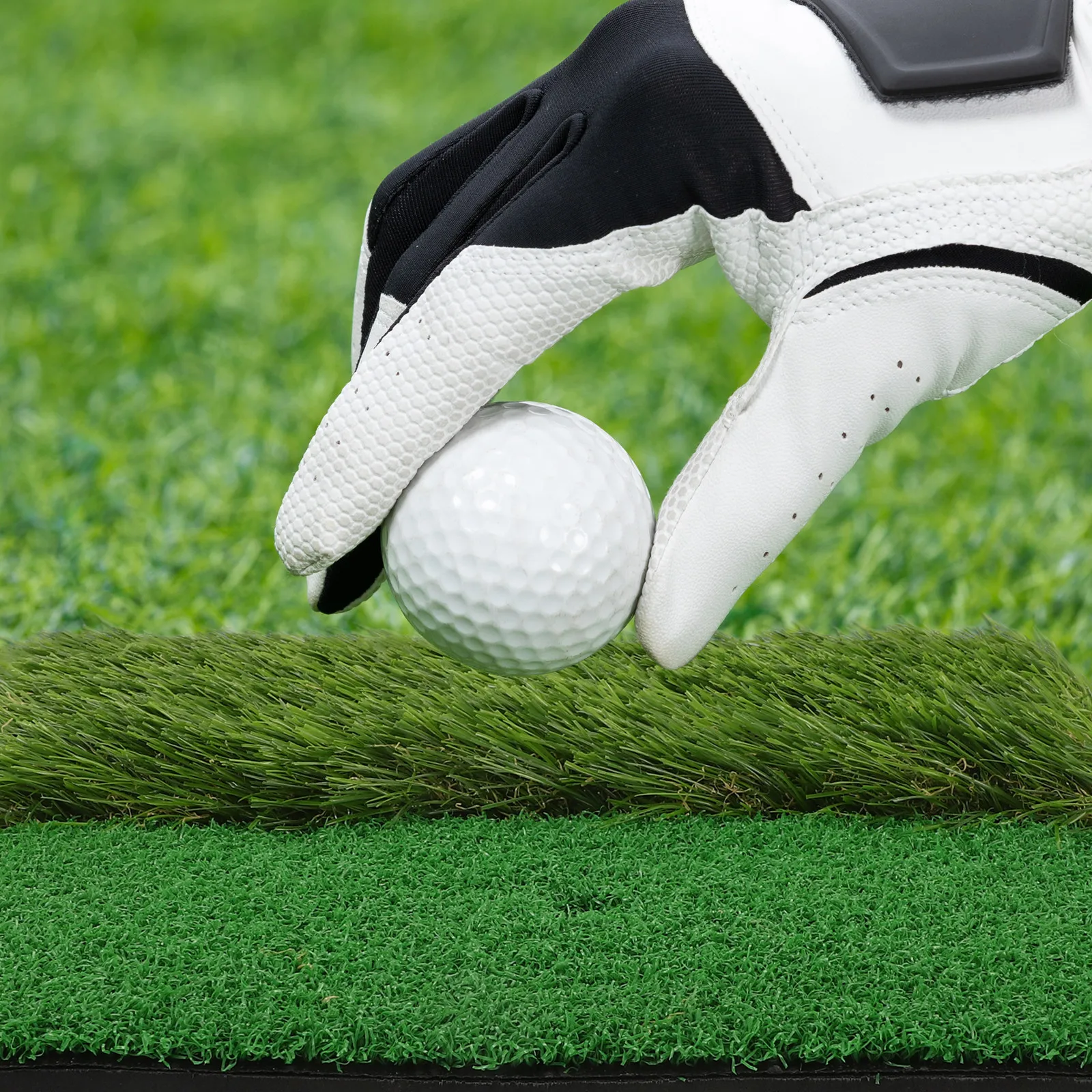 Professional Golf H…