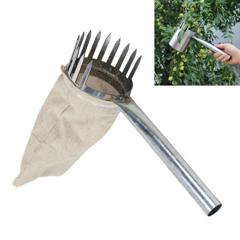 Fruit Picker Tool Lightweight Metal Fruit Picker with Collection Bag Blueberry Harvester Tool for Jujube Cherry Avocado