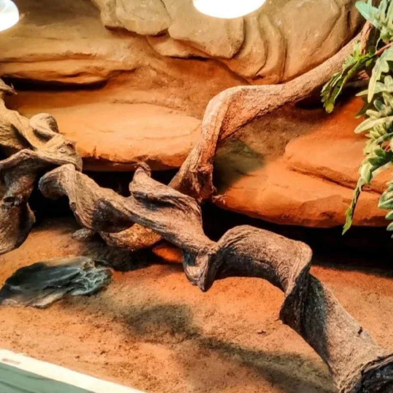 

Feeding Box Fittings Climbing Pet Wooden Landscape Tree Vine Natural Dead Wood Crawler Rainforest Tank