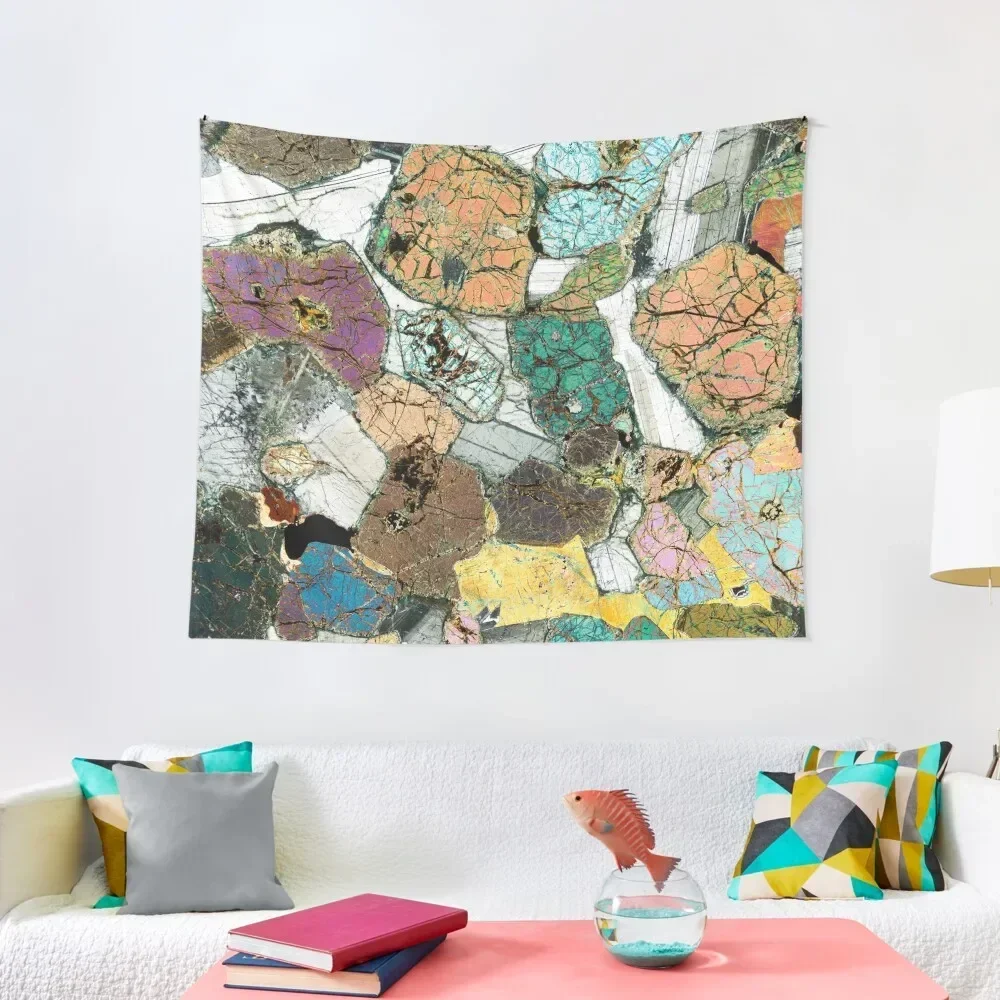 

Geology gift - Peridotite from Ardnamurchan, Scotland Rock Thin Section Microscope Photo Tapestry Outdoor Decor Tapestry