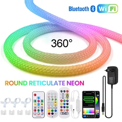 Tira de luz de neón reticulada redonda de 5V WS2812B cinta direccionable Tuya Wifi Bluetooth aplicación remota Control tira de LED RGBIC inteligente IP67