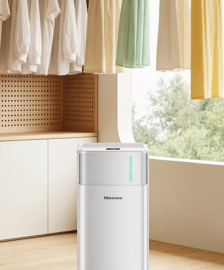 220V Dehumidifier for Home Small Portable Dryer Damp Proof Bedroom Clothes Drying D