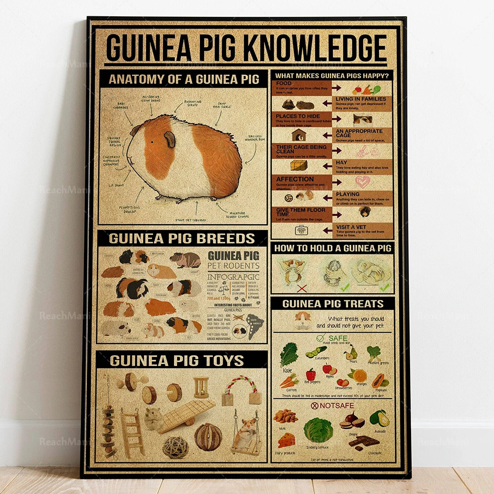 

Guinea Pig Knowledge Vintage Poster, Guinea Pig Gift, Guinea Pig Wall Art, Guinea Pig Wall Decor, Guinea Pig Lover Gift