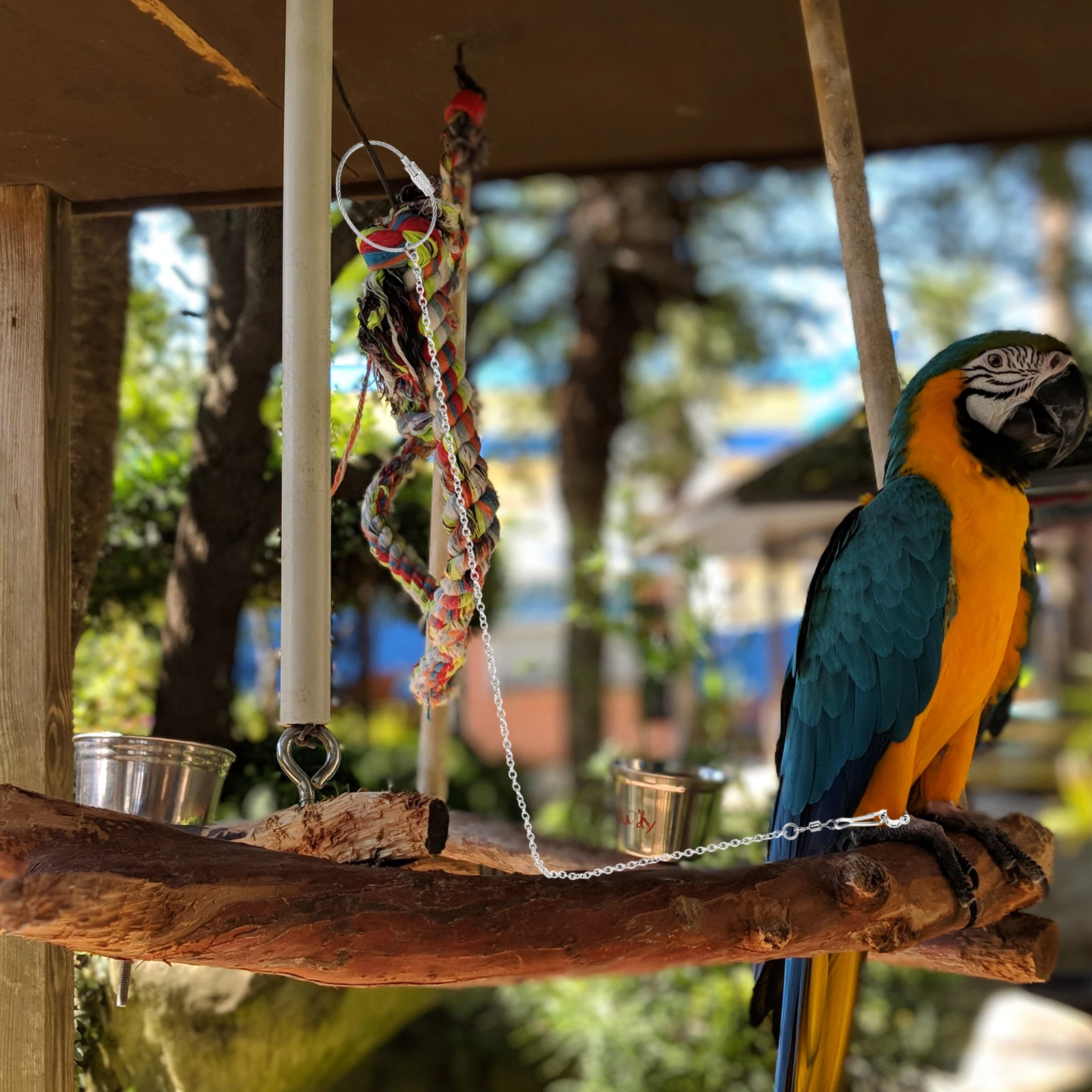 

Stainless Steel Bird Chain Birds Parrot Chains Foot Leash for Parrots