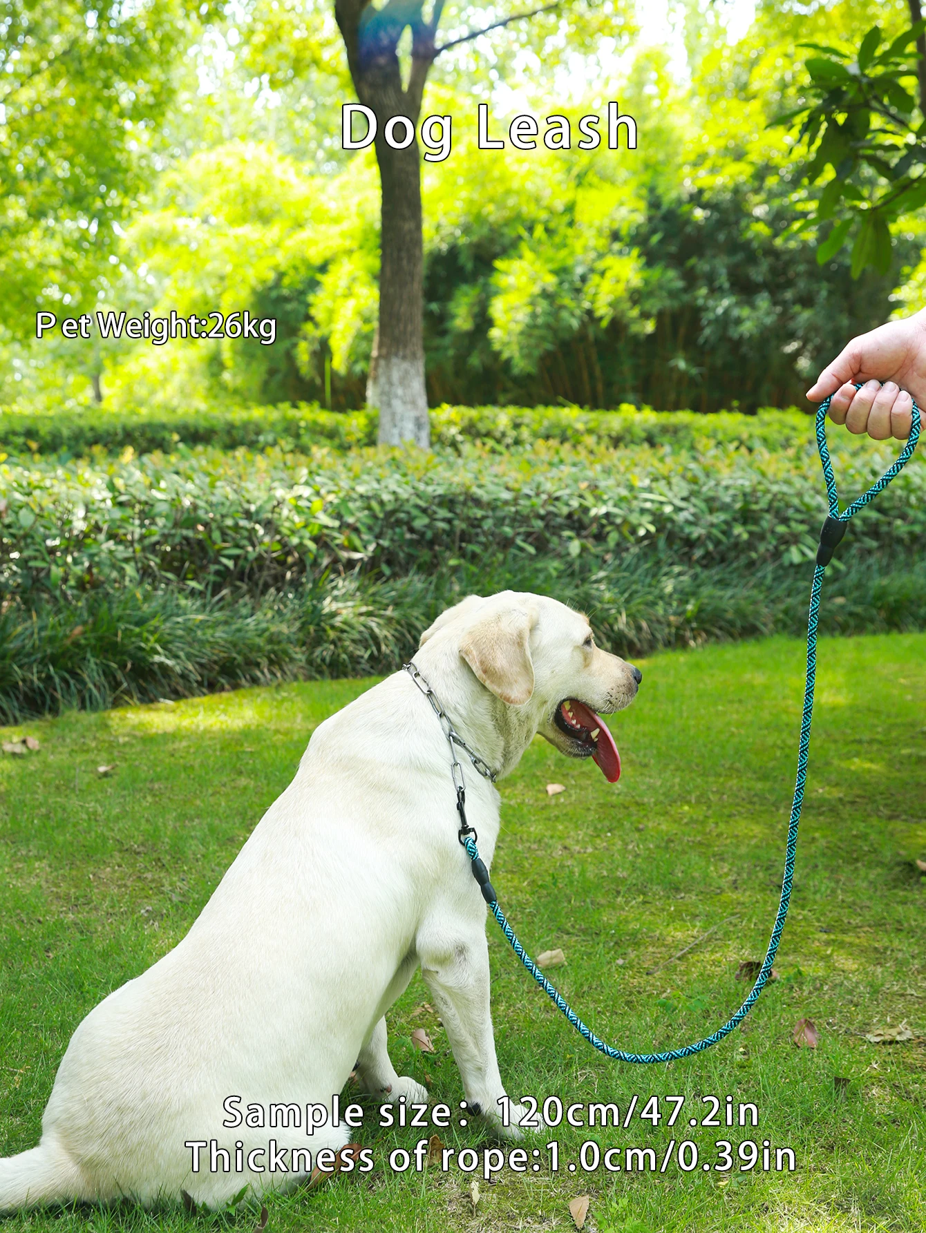 1pc Blue Pet leash, outdoor leash, to prevent the loss of dogs,Leash for cats and dogs