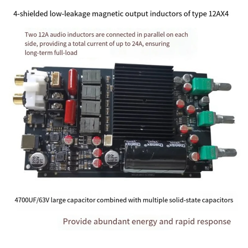 Professional TPA3255 600W Mono Subwoofer Amplifier Board With Advanced Feedback Design And Fast Speed Gate Driver 