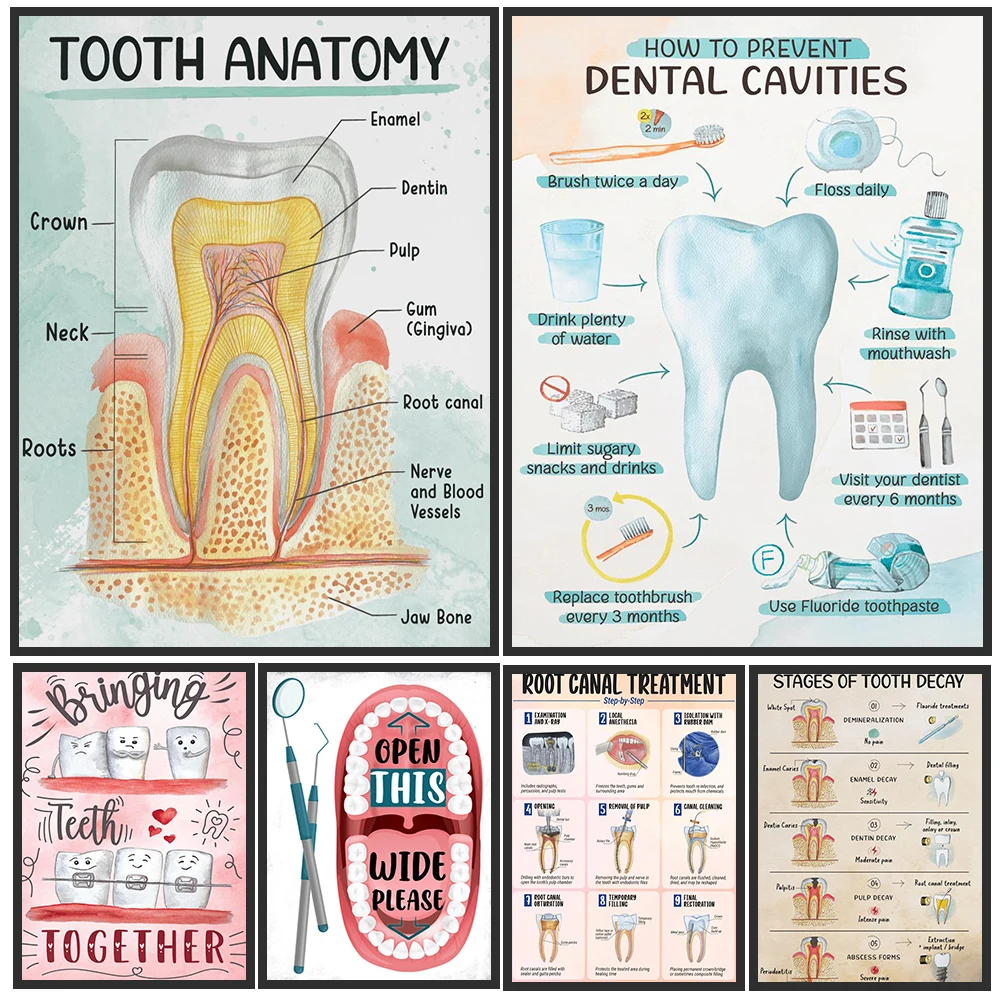 Dental Clinic Canvas Wall Art,Watercolor Tooth Anatomy Cavity Prevention Root Canal Treatment Educational Poster Print Decor