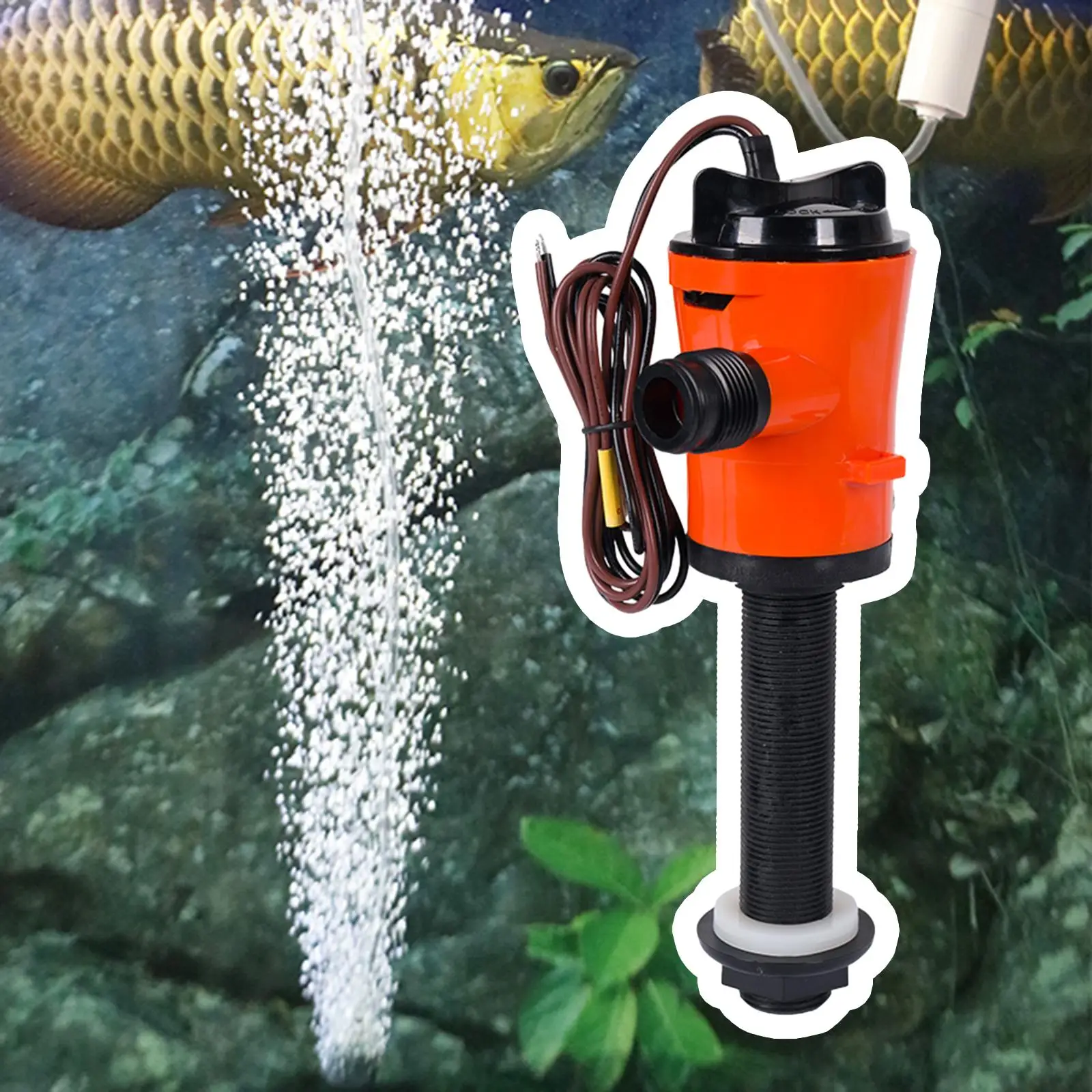 

Livewell Pump 24V 800GPH Boat Tools with Filter Accessory Replaces Repair Parts