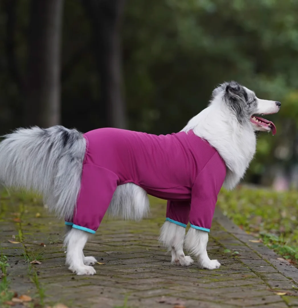 Big Large Dog Jumpsuit, Dog Clothes, Schnauzer, Corgi, Husky, Labrador, Golden Retriever, Dobermann, Bull Terrier, Summer Outfit