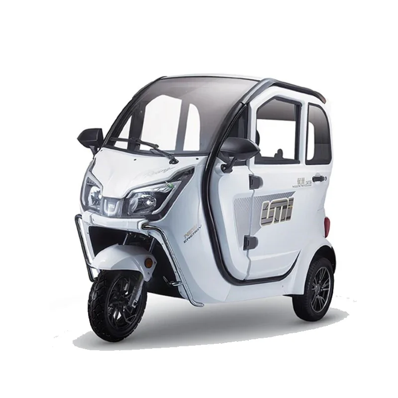 Enclosed Electric Tricycle Small 3 Wheel Cargo Scooter CE Approved E Rickshaw Load Passenger  with Storage