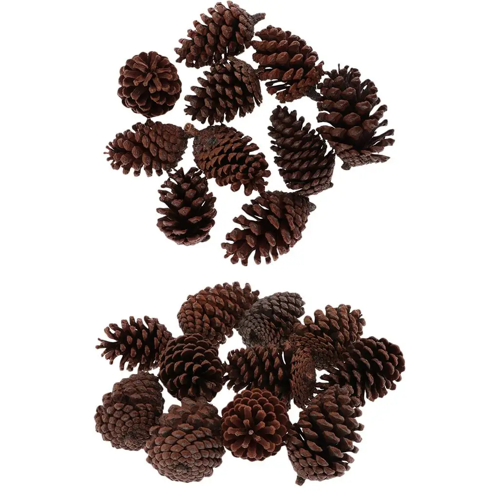 Natural Pine Cones …