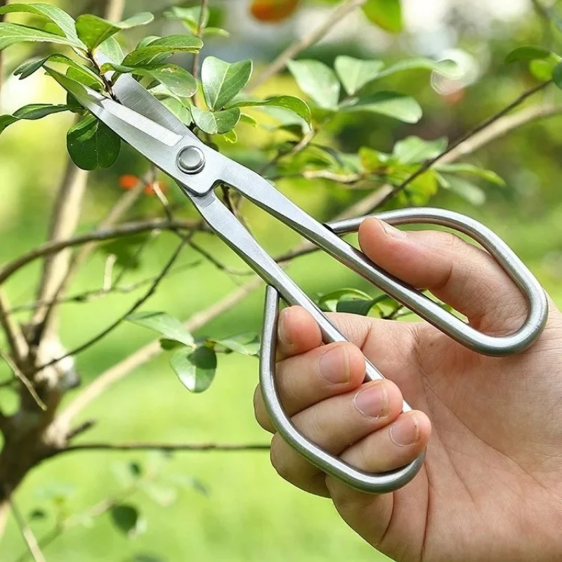 Tijeras para Hojas Delicadas, Herramientas para Bonsái, Tijeras para Ramas, Tijeras de Jardinería de Acero Inoxidable Extendidas, Tijeras para Podar Brotes de Hojas Delicadas