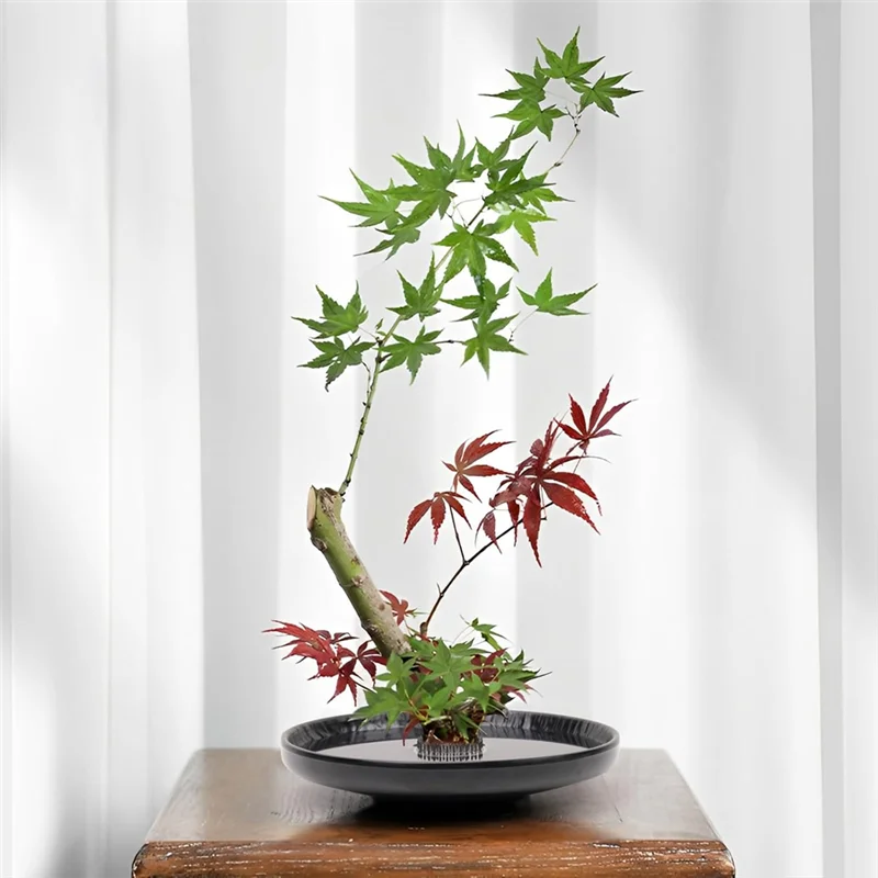 AAAN-Ikebana Japanese For Flower Frog Vase Ikebans Kit For Flower Arrangement Desk Office Home Decoration Floral Art