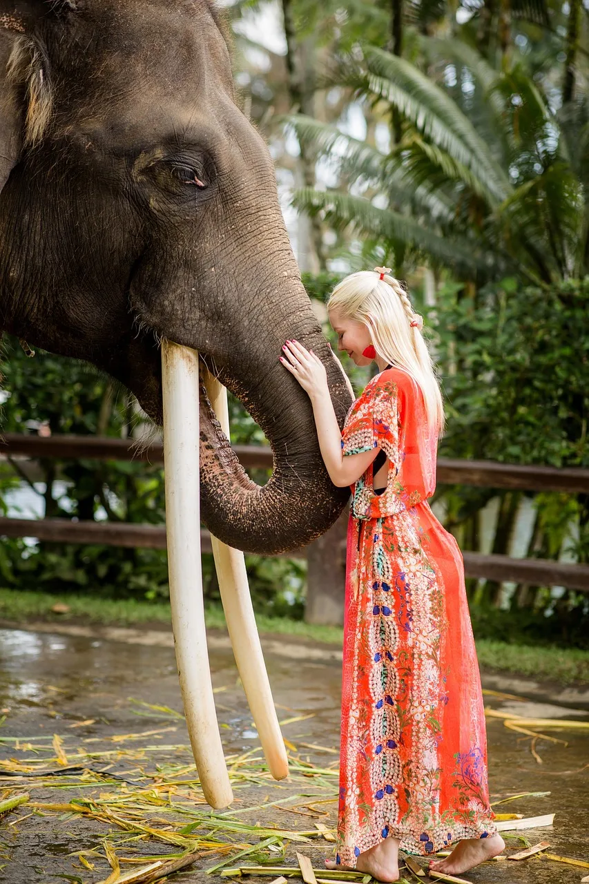 Toldo de decoração de carro rc, dossel simulado, corda de reboque, bandeira, bolsa de viagem para 1/10 rcock crawler TRX-4 scx10 tk300 yikong rc4wd