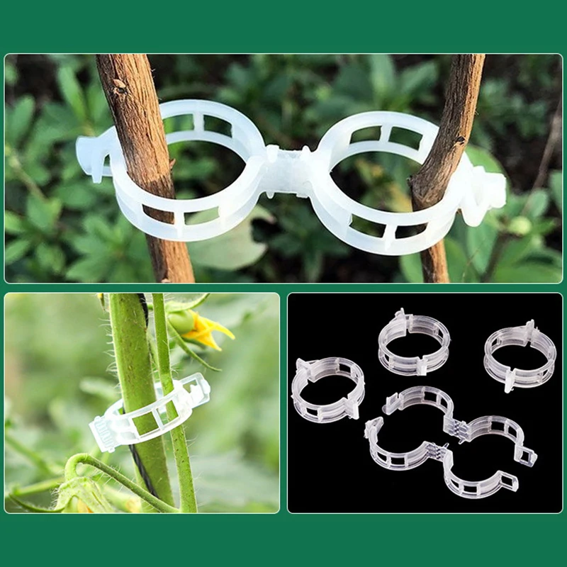 Clips de plástico para plantas trepadoras, Clip de fijación transparente para enrejados de tomate, 100 piezas