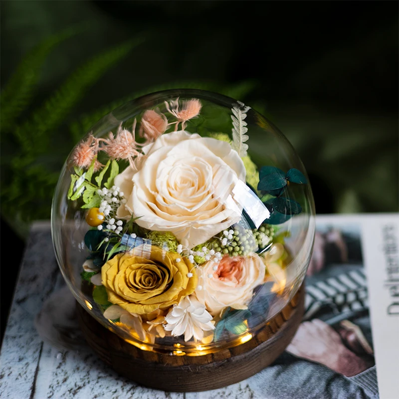 

2026 LED Eternal Rose Glass Dome Eternal Flower Romantic Gift Valentine's Day/Mother's Day Christmas Anniversary Home
