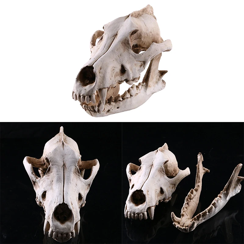 Wolf Skull Jewelry Resin Crafts Skull Head Props Decorative Ornaments Resin Head Ome Decoration Miniature Figurines Drama Props