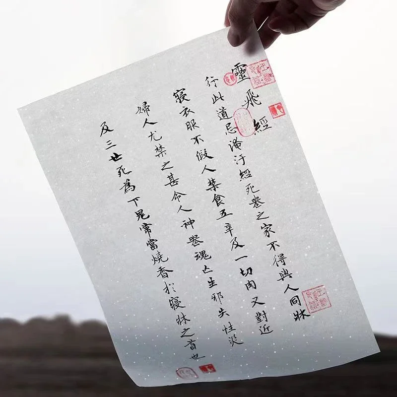 Cicada Wing Xuan Paper Chinese Meticulous Painting Calligraphy Rice Paper Super Thin Copy Rubbings Rijstpapier Vintage Papier