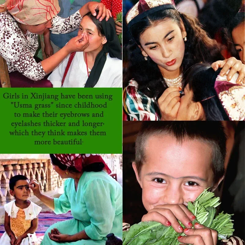 Xinjiang Pure Usma Grass Growth Saft und Bleistift Augenbrauen schnell länger dicker Koteletten Haarlinie erhöhte Augenbrauen wachsen Make-up