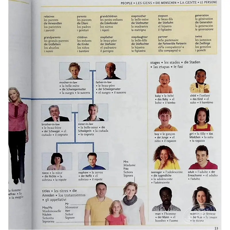 5 Language Visual Dictionary DK DK Publishing 9780241413036 Book