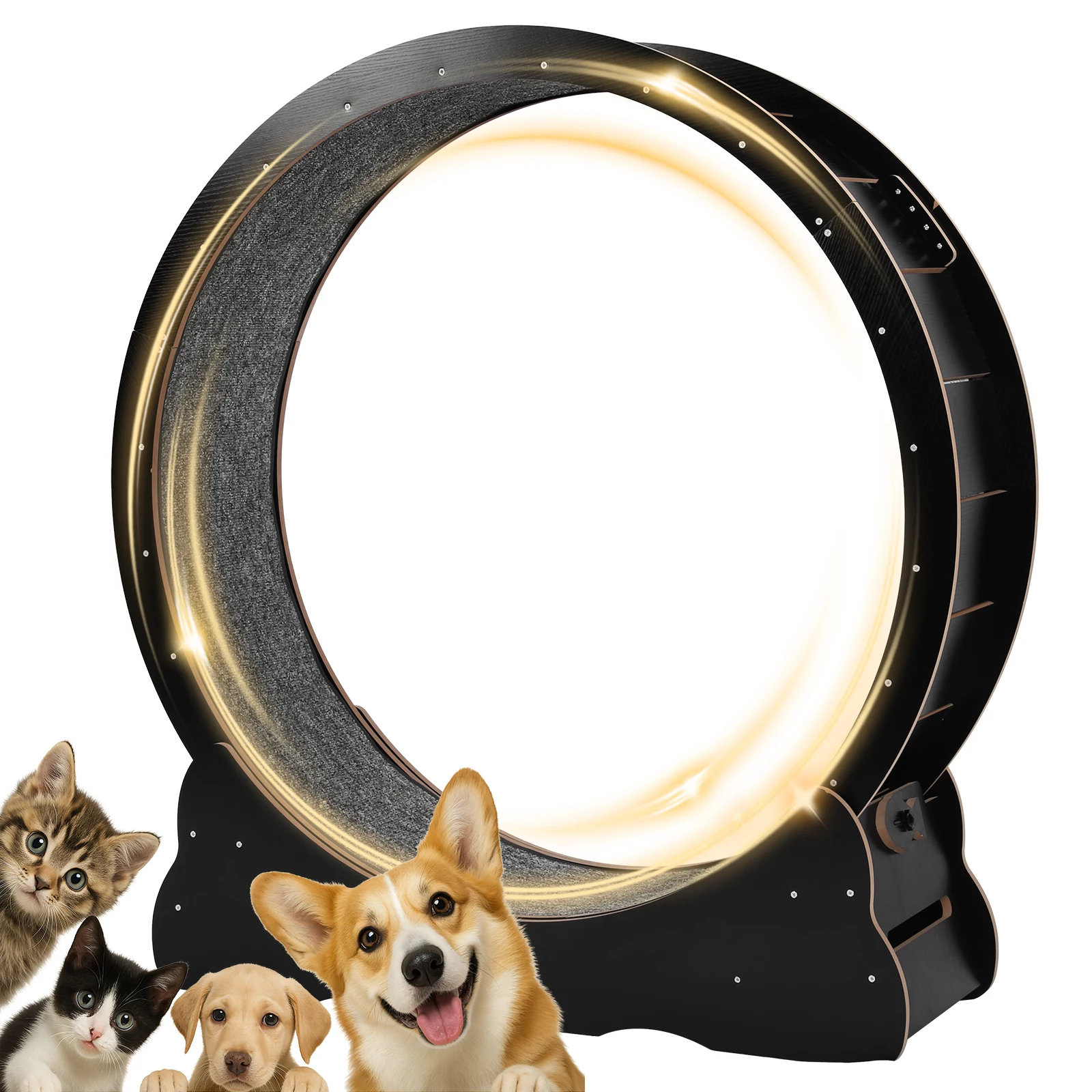 عجلة تمرين القطط مقاس 43 بوصة، عجلة دوارة للقطط، عجلة تمرين القطط الصامتة للقطط الداخلية، نشاط التمارين البدنية #6