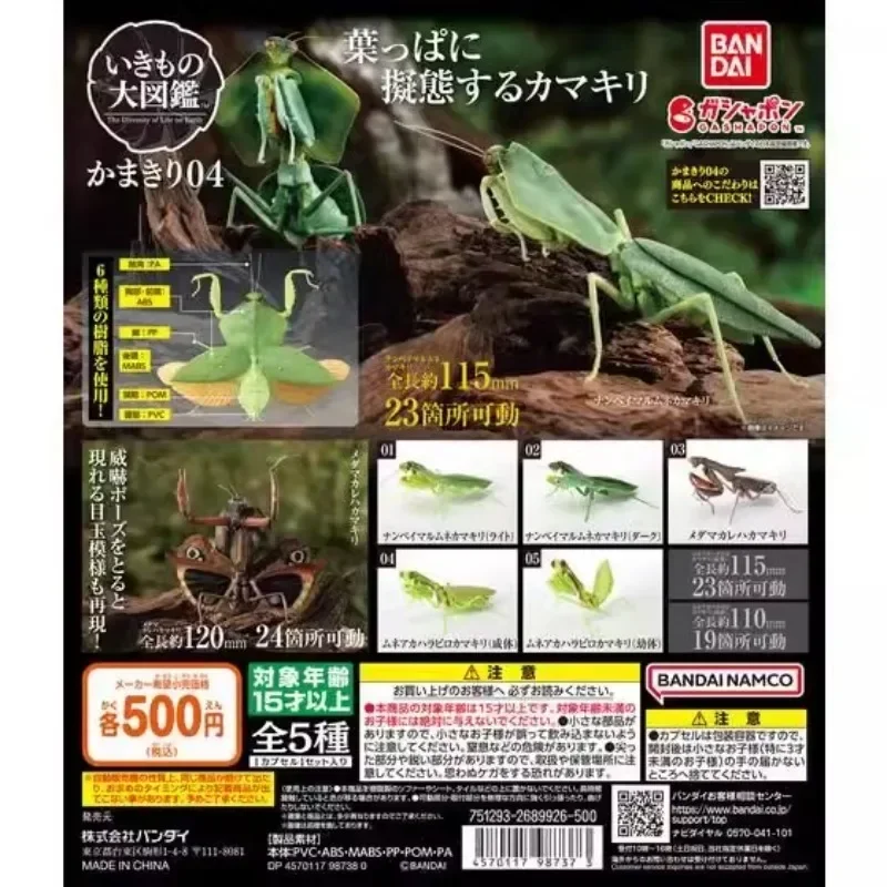 

BANDAI Japan Gashapon Figure Anime Cute Biology Map Mantis Locust Biomimetic Insect Kawaii Capsule Toys Figurine Gift