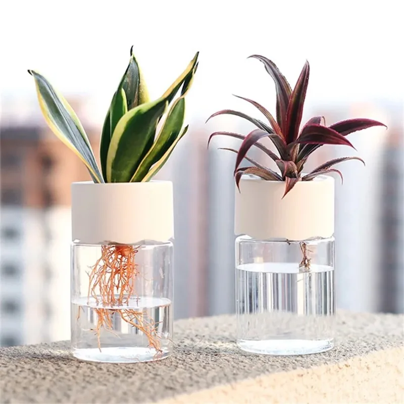 2pcs Simple and Transparent Hydroponic Pot Green Ivy Plastic Flowerpot Circular Vessel Living Room Office Home Decoration