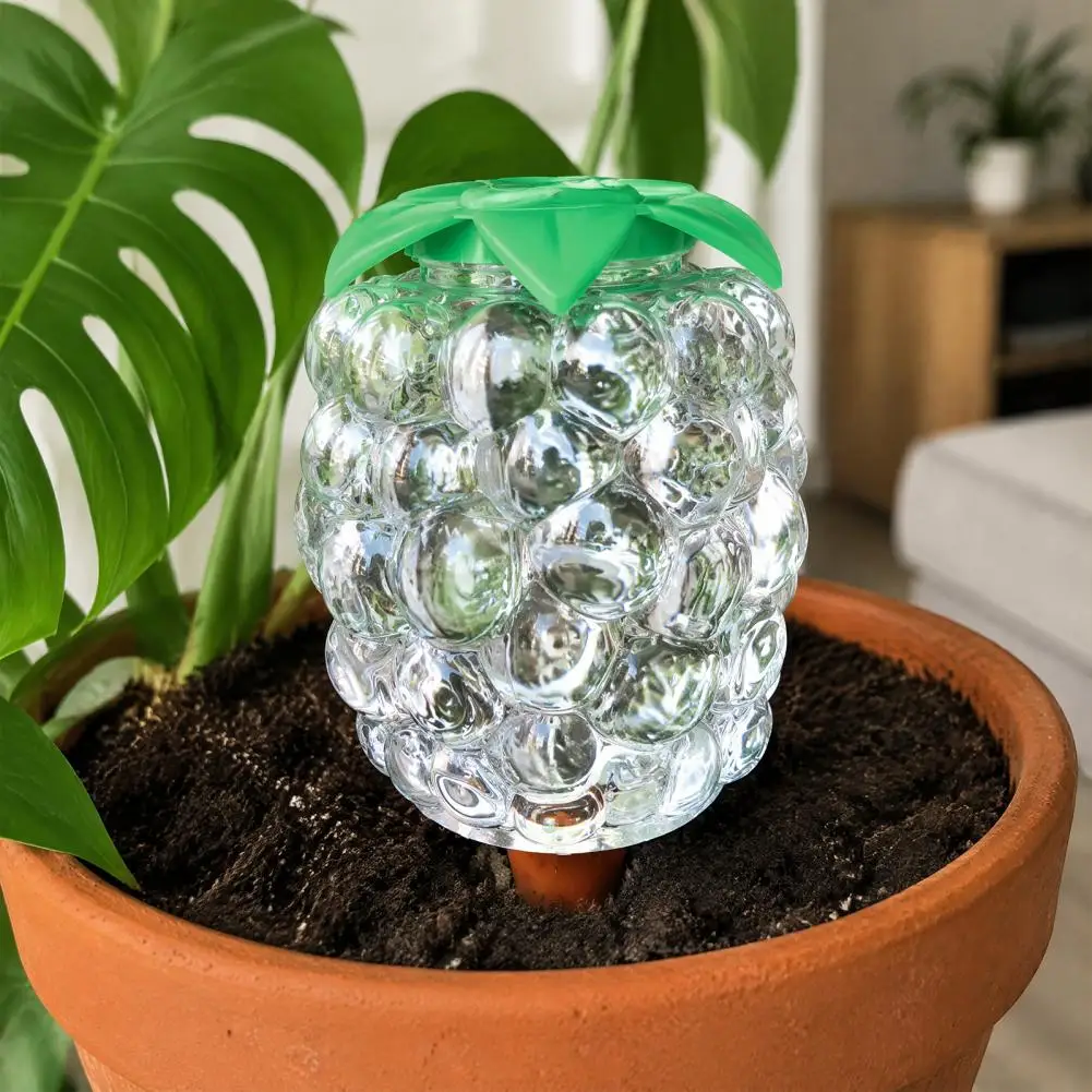 Automatic Plant Waterer Automatic Plant Watering Bulb Set Grape Shaped Self Watering Globes with Spikes Indoor Potted Plants