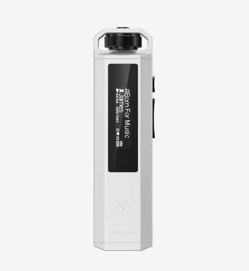 FiiO SnowSky ECHO NANO ポータブルロスレス HiFi 音楽プレーヤー高