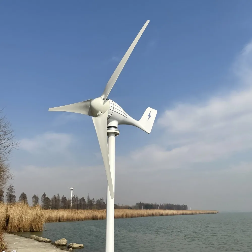

New Arrival 3000W New Energy Horizontal 12v24v 48v Low Noise Small Windmill Wind Turbine Generator Free MPPT Controller FOR YOU